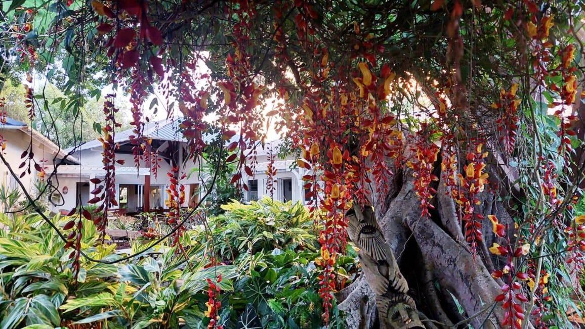 Tree Lodge Mauritius Belle Mare Exterior photo