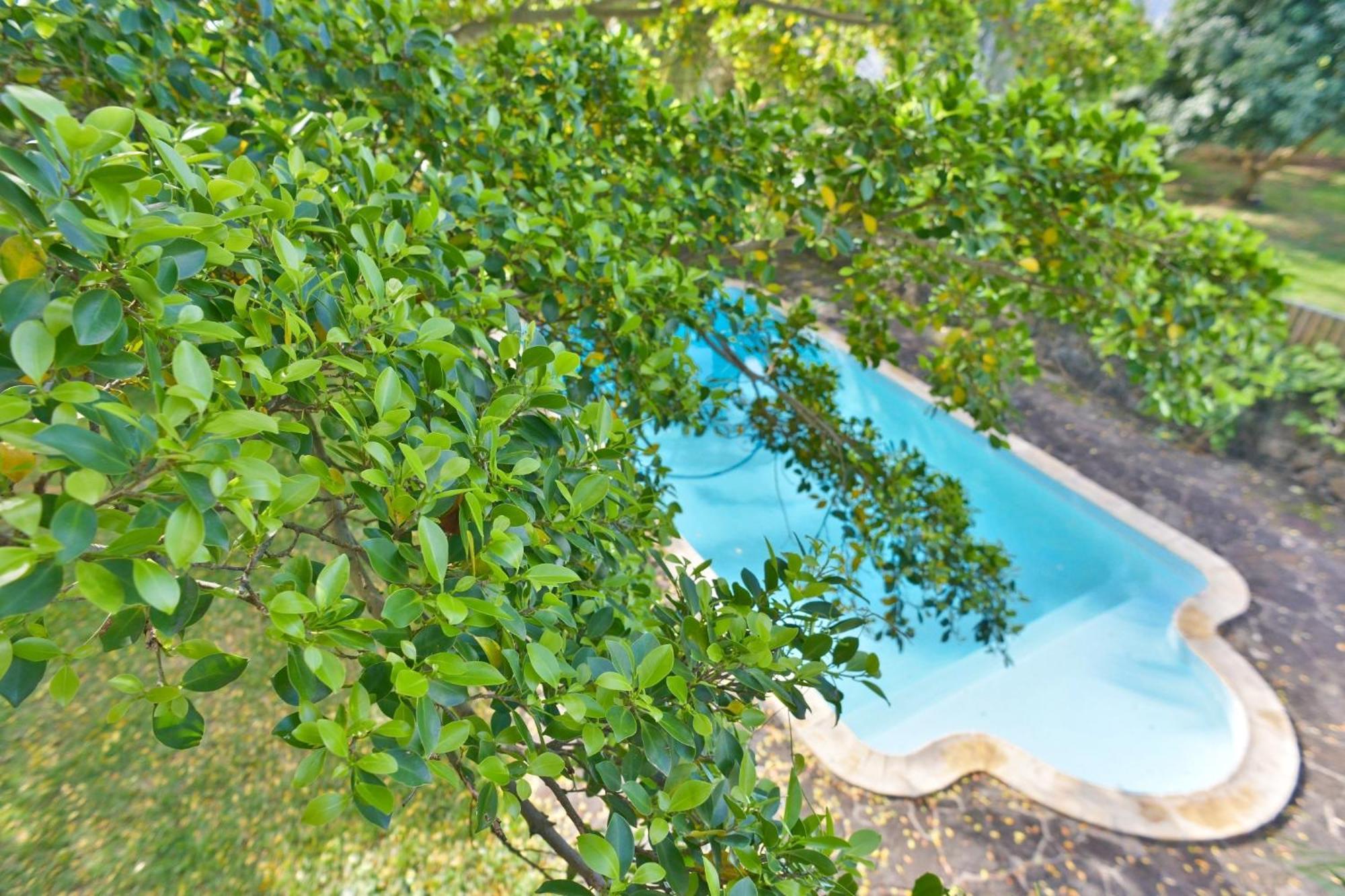 Tree Lodge Mauritius Belle Mare Exterior photo